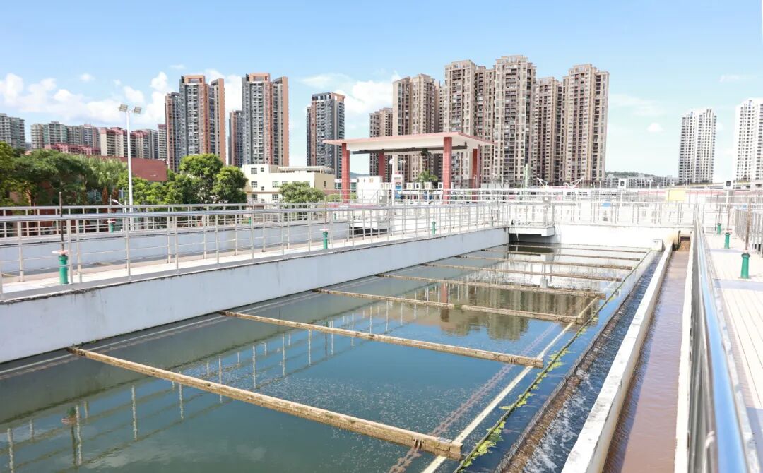 市政协到三乡镇开展水污染治理专项民主监督活动